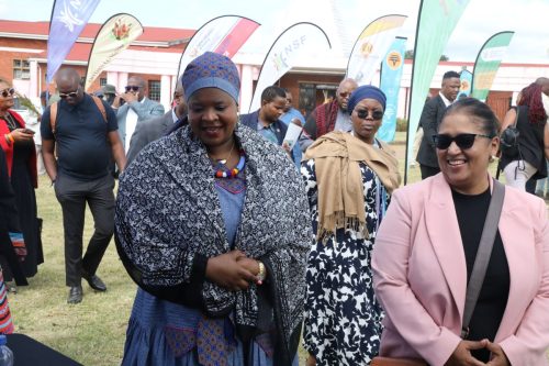 Deputy Minister Dr Mimmy Gondwe alongside NSF Acting Chief Director Skills Development Implementation Nadia Williams. 