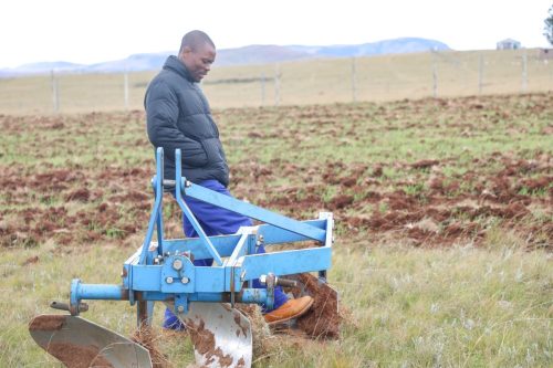NSF funded plant production beneficiary