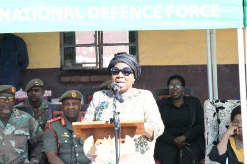 Former Minister of Home Affairs, Cooperative Governance and Traditional Affairs.