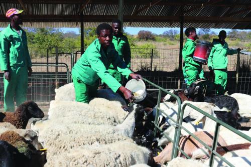 Dzunde Farming Co-operative