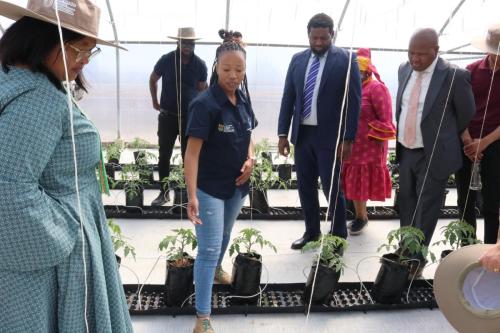 Tour of the Horticulture greenhouse tunnel, 2022